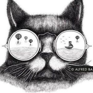 Meet your Posher, Cameron